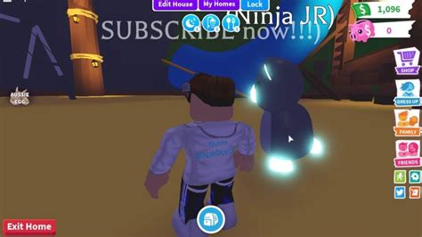 Never Go To The Park At 3am In Adopt Me On Roblox Roblox Adoption