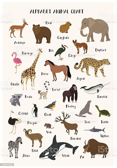 Alphabet Animal Chart Set For Kids Stock Illustration