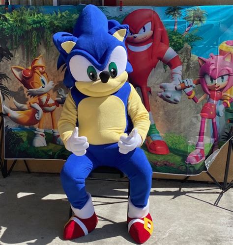 Sonic Kids Party Mascot Costume Characters Fun Factory Parties