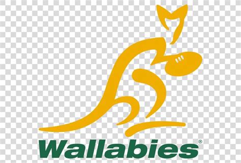 Australia National Rugby Union Team The Rugby Championship South Africa