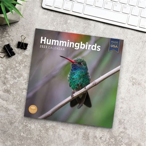 2023 Hummingbirds Wall Calendar By Bright Day 12x12 Inch Etsy