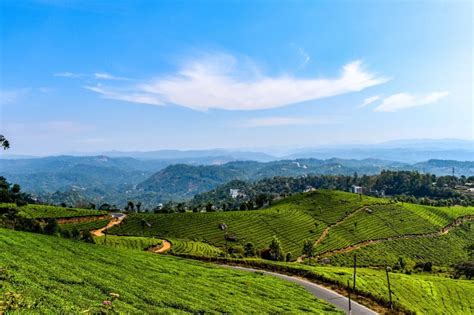 9 Best Places To Visit In The Hill Station Of Munnar Veena World