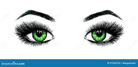 Beautiful Open Female Green Eyes With Long Eyelashes Is Isolated On A