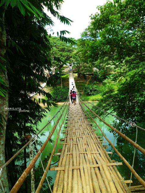 Bamboo Hanging Bridge In Sevilla Bohol Philippines Travel