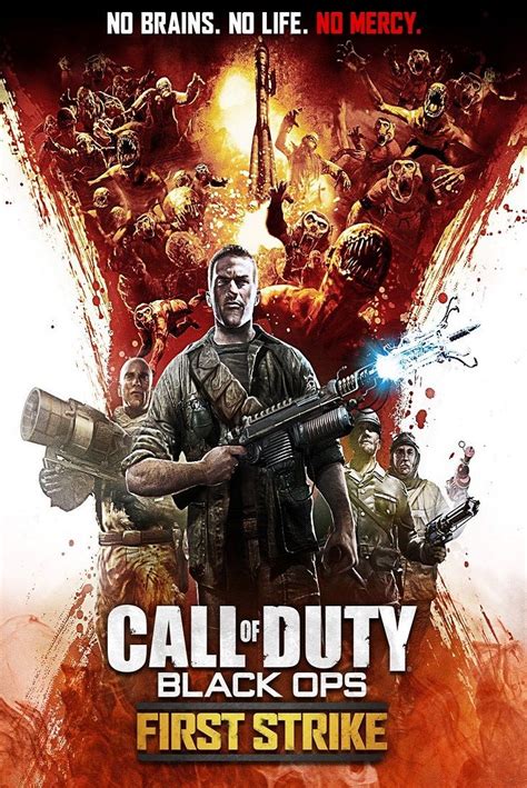 Poster Call Of Duty Zombies Liewmeileng
