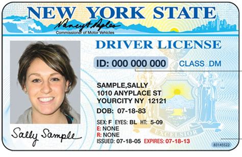 Ny Driver License Template