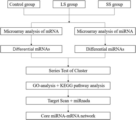 Flow Chart Of Constructing The Mirna Mrna Network Associated With