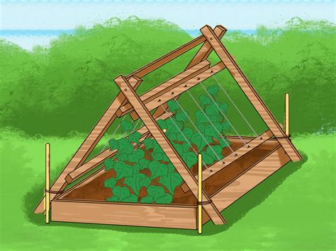 How to train cucumbers up a trellis. 3 Ways to Trellis Cucumbers - wikiHow