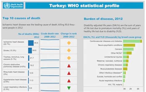 Turkey Emerging Health Prosperity And Threats Inmedblogs