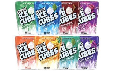 West End Foods Bundle Of Assorted Ice Breakers Gum Ice