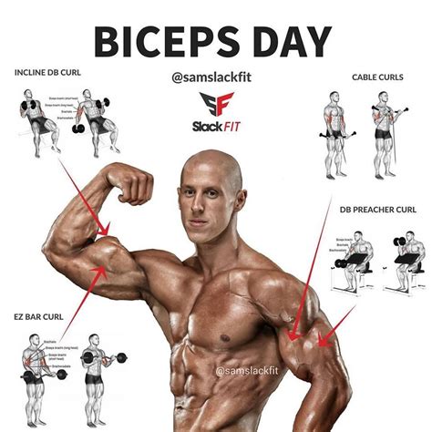 Biceps Day Samslackfit Biceps Workout Workout Plan Gym Triceps Workout