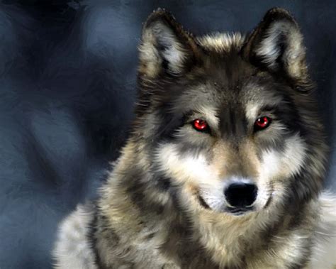 Fotos Von Wolf Ein Tier