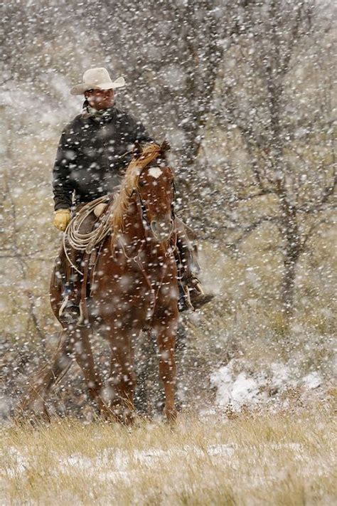 O Cowboy Cowboy Horse Western Life Western Art Snow Scenes Winter