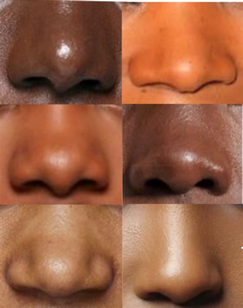 Nose Drawing Reference | Nose drawing, Reference photos for artists gambar png