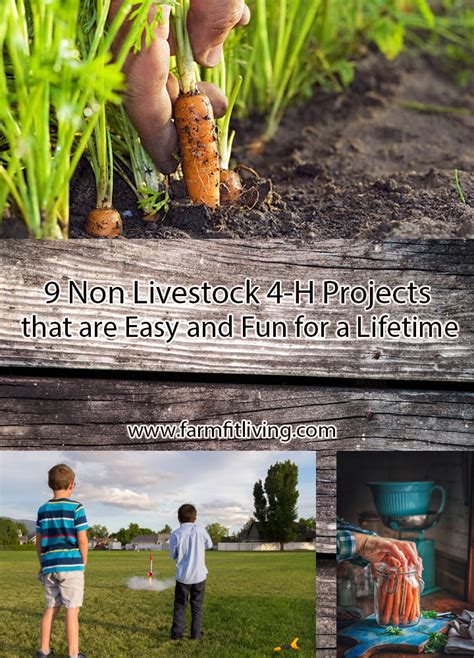 9 Non Livestock 4 H Projects That Are Easy And Fun For A Lifetime