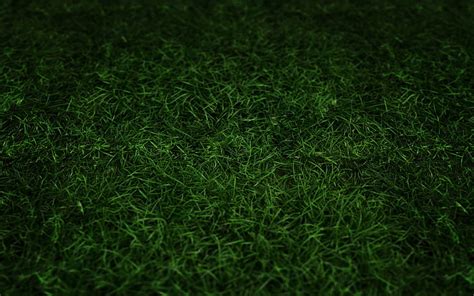 3840x2160px Free Download Hd Wallpaper Grass Green Wallpaper Flare