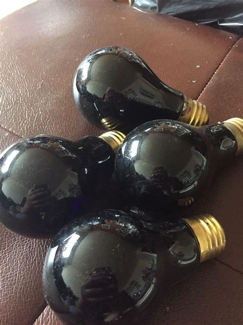 Best Black Light Bulbs For Sale In Winnipeg Manitoba For 2021