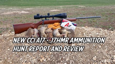 New Cci A17 17 Hmr Ammunition Hunt Report And Review Youtube