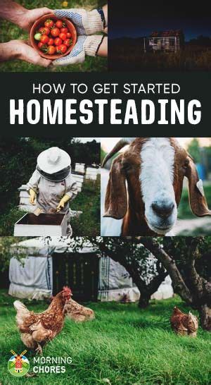 Homesteading 101 What Is It And The Essential Steps To Get Started