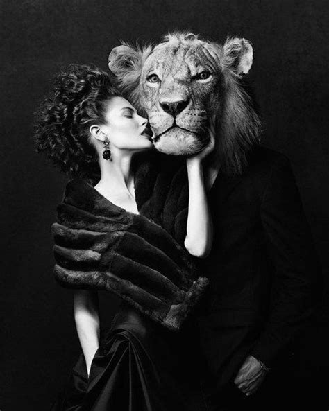 Woman Animal Lion Lion Couple Lion Photography Catherine Mcneil Lion