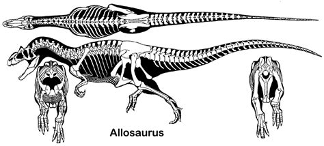 We did not find results for: Gregory S. Paul is most famous for his rigorously researched dinosaur skeleton reconstructions ...