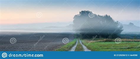 Farm Track Leading Into Foggy Fields At Dawn Stock Photo Image Of