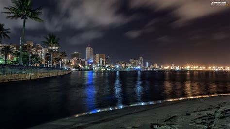 Town South Africa Palms Ocean Night Durban For Desktop