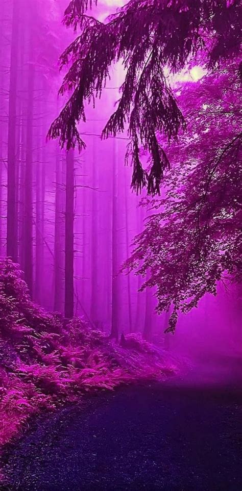 Purple Forest Wallpaper By Julianna Download On Zedge 6f44