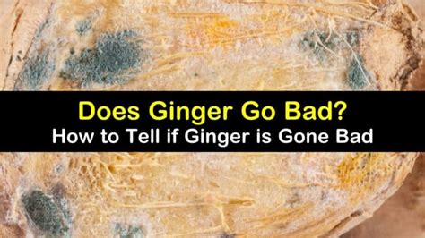 How To Tell If Ginger Is Gone Bad