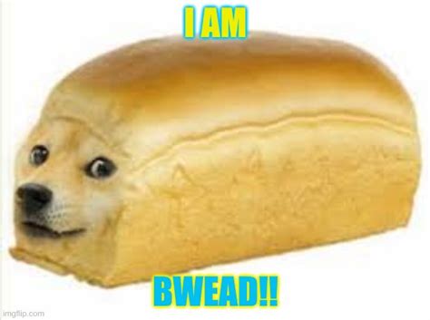 Doge Bread Imgflip