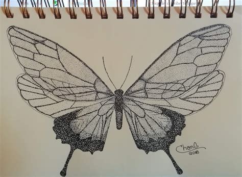 Stippling Butterfly Art Amino