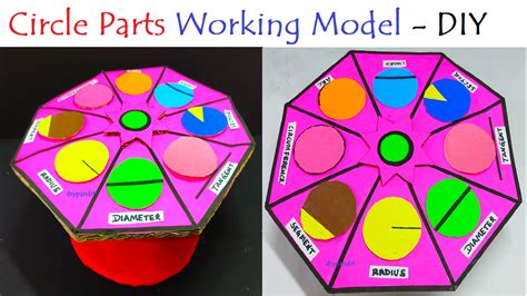 Working Model Of A Circle Parts Using Color Paper And Cardboard Free
