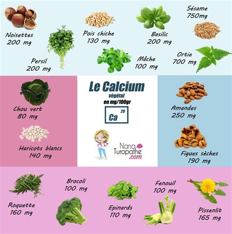 Le calcium végétal Nana Turopathe Régime seignalet Aliments riches en calcium Calcium végétal