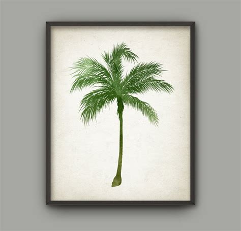 Palm Tree Botanical Wall Art Print Set Of 6 Modern Home