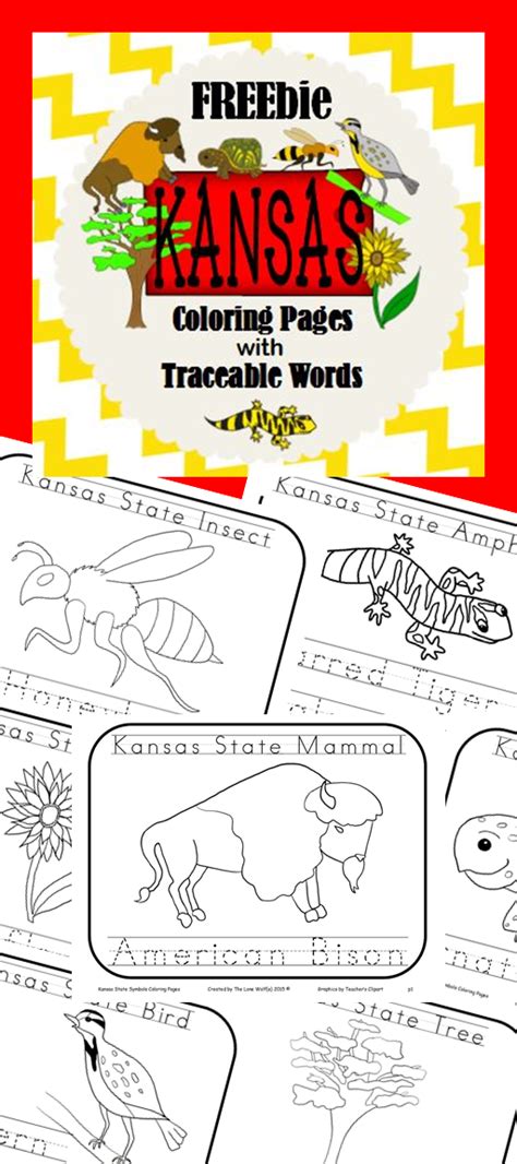 Kansas Coloring Pages With Traceable Words Freebie Includes State