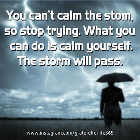 🗝you Cant Calm The Storm So Stop Trying What You Can Do Is Calm