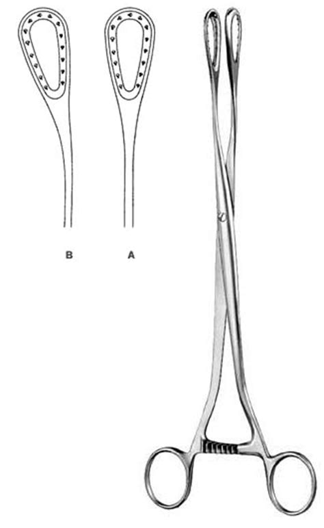 Using forceps safely requires a high level of skill and expertise, which experts are particularly concerned about a type known as kielland's forceps, which were used to deliver alexandra. Obstetrics