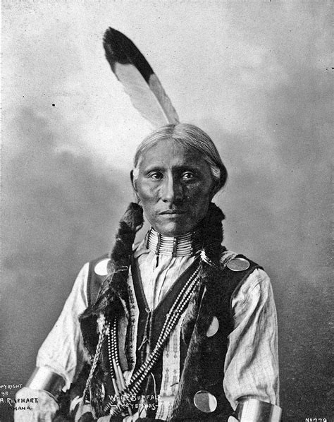 White Buffalo Cheyenne Chief Photo By Frank A Rinehart On The Occasion Of The Indian