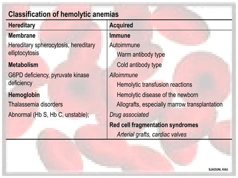 Ppt Hemolytic Anemias Powerpoint Presentation Free Download Id4632555