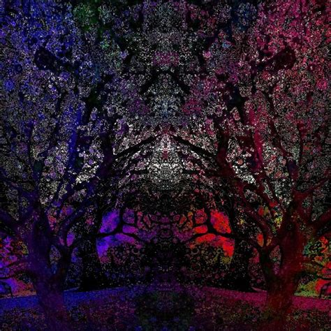 Trippy Forest In 2021 Trippy Painting Forest