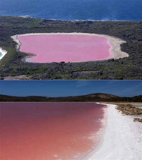 Can you swim in pink lake australia? Fascinating Look at the Pink Lake Hillier Off the South ...
