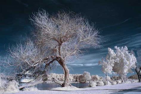 How To Shoot Infrared What Is Infrared Photography What Digital Camera