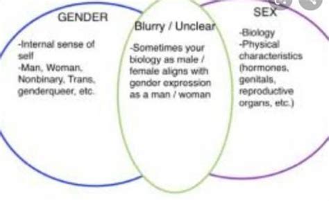 Pagkakaiba Ng Sex At Gender Venn Diagram