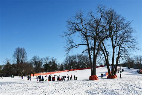 A Few Naperville Traditions For January 2022 Positively Naperville