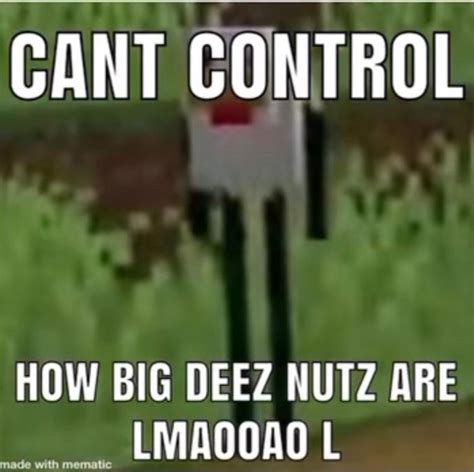 Minecraft Deez Nuts Joke Freeloljokes