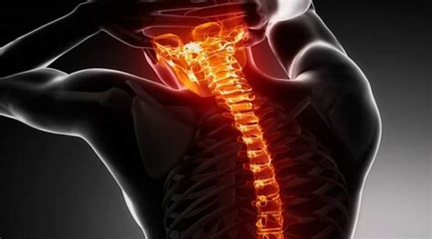 Gene Therapy Could Restore Hand Function After Spinal Cord Injury