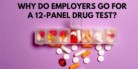 Why Do Employers Go For A 12 Panel Drug Test