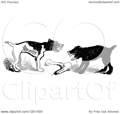 Clipart Of Vintage Black And White Dogs Fighting Over A Bone Royalty