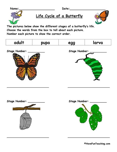 Life Cycle Of A Butterfly Worksheet Have Fun Teaching Science Life