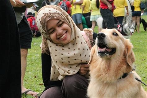 Muslim scholars, who are of the opinion that islam does not allow keeping dogs, have generally derived their opinion from various narratives ascribed to the prophet (pbuh). The Real Reason Religious Einsteins Afraid Of "I Want To ...